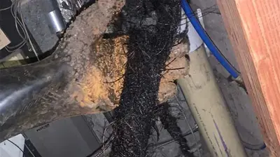 Commercial Plumbing Services Photo