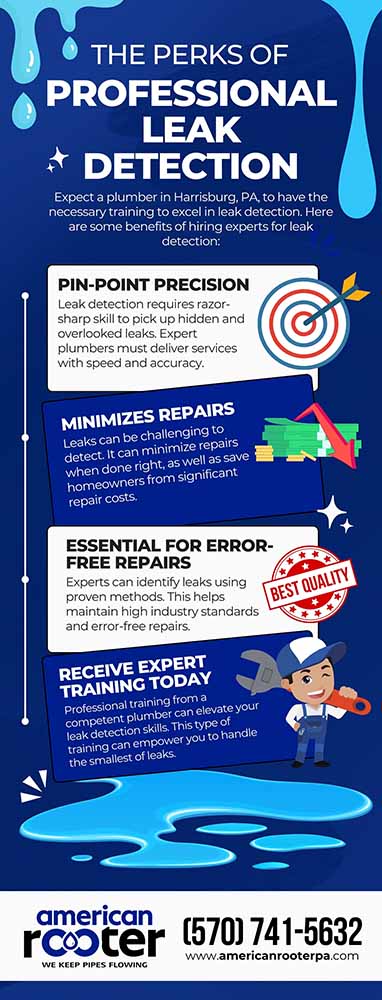 The Perks of Professional Leak Detection The Perks of Professional Leak Detection